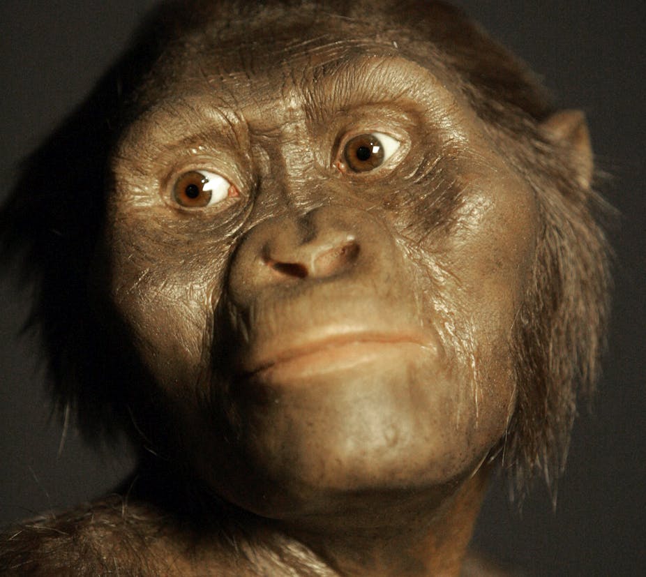 Early Humans Evolution