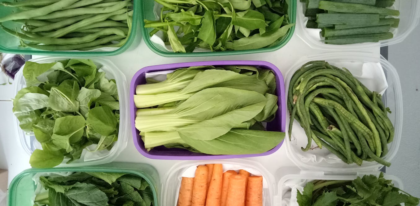 Cara Mudah Menyiapkan Bahan Pangan Tetap Segar Dan Tahan Lama Saat Pandemi Covid 19 Cara Mudah Menyiapkan Bahan Pangan Tetap Segar Dan Tahan Lama Saat Pandemi Covid 19