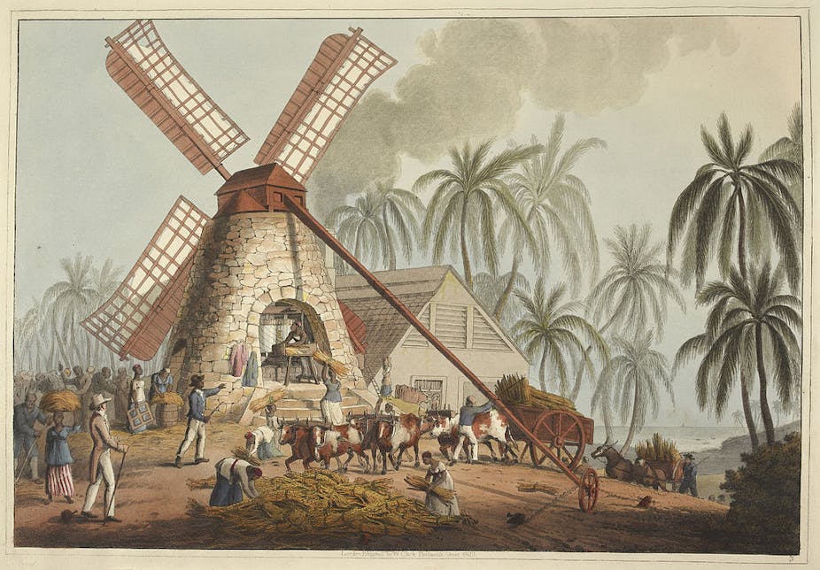 An illustration of a sugar plantation in Antigua. 