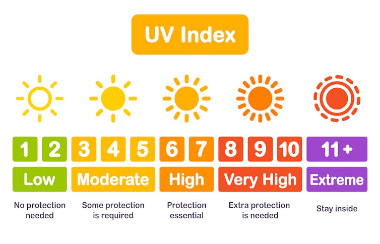 how does the Sun help your body make vitamin D?