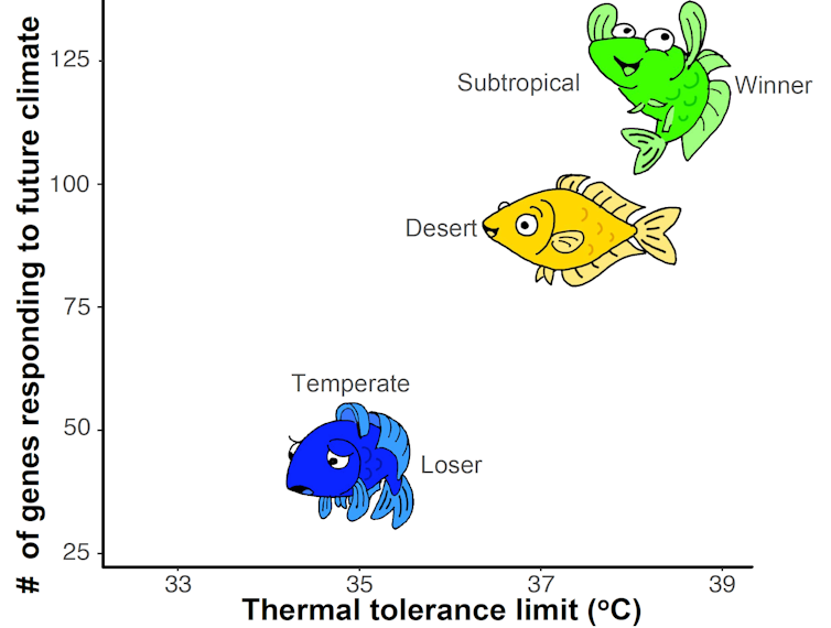 Which species will win and lose in a warmer climate? It depends where they evolved