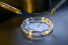 assisted reproductive technology research topics
