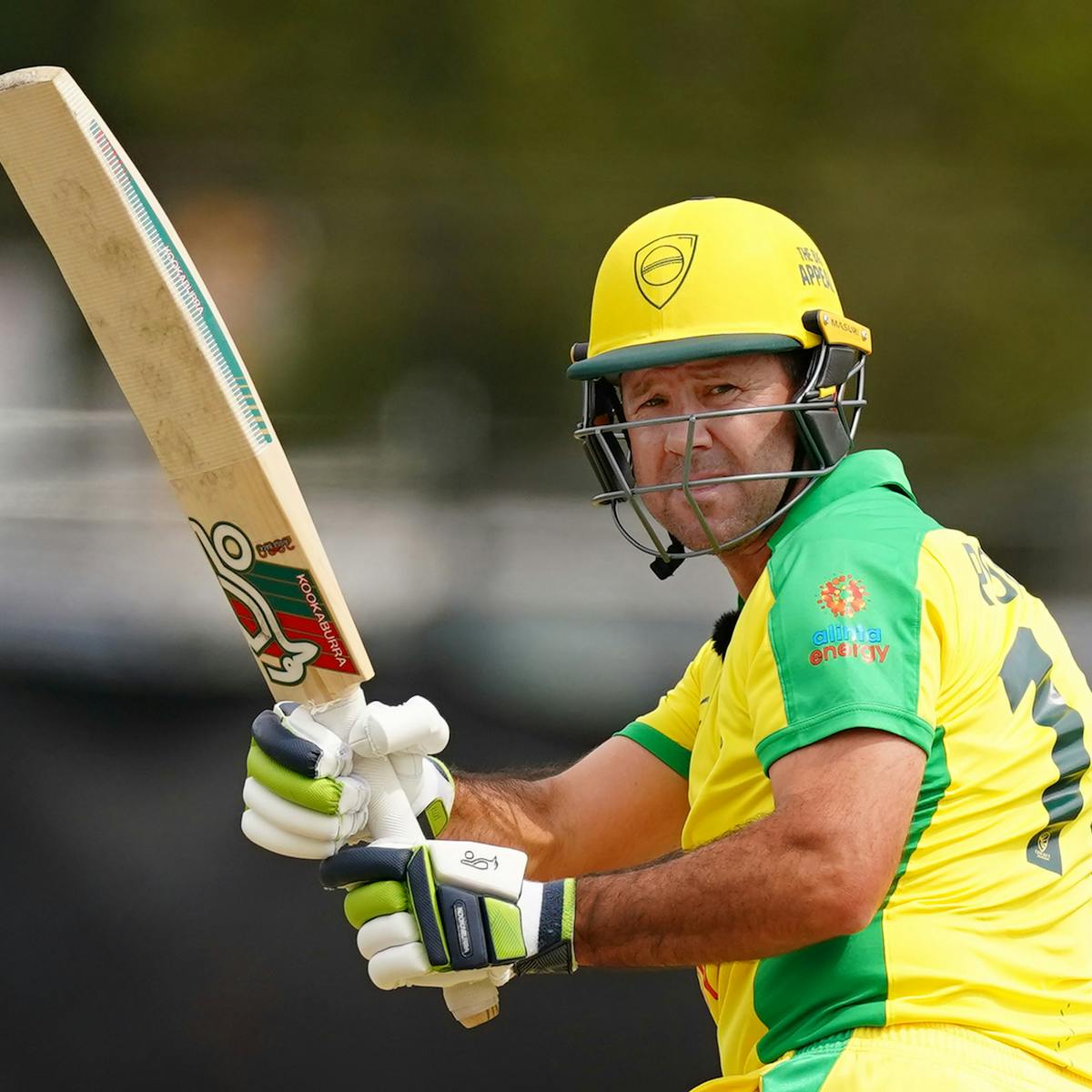 Cricket 19 License Key Free Cricket 19 License Key Free