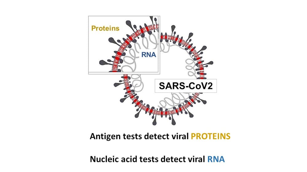 African Countries Need Cheaper Covid 19 Tests Here S How To Get Them
