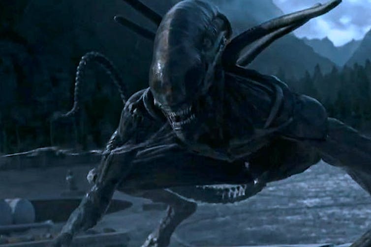 How Hollywood S Alien And Predator Movies Reinforce Anti Black Racism How Hollywood S Alien And Predator Movies Reinforce Anti Black Racism