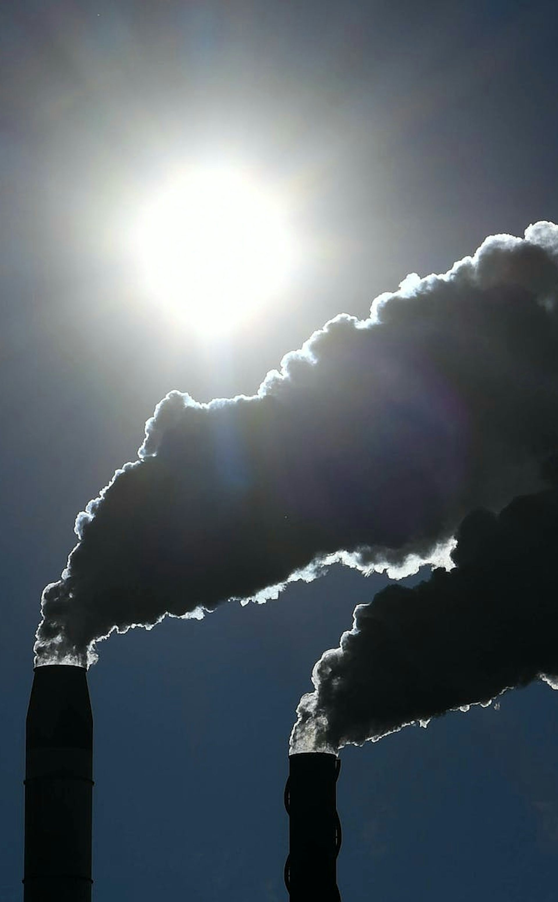 three americans finds enough carbon emissions