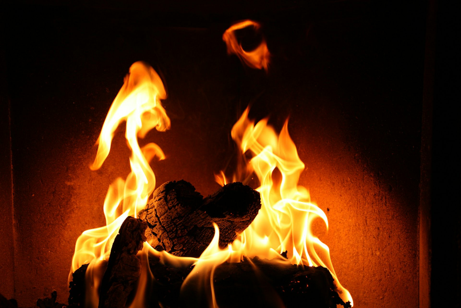 People Banned From Collecting Wood In National Parks And Campsites