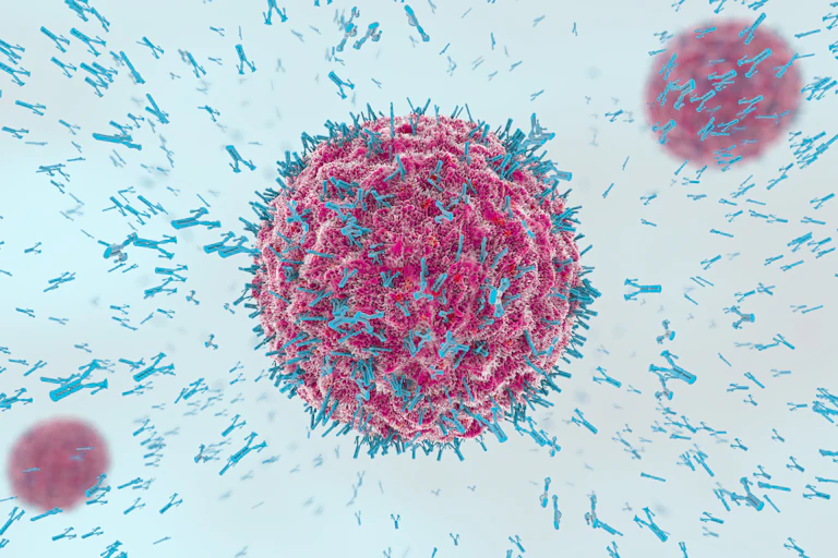 antibodies latching onto a pathogen
