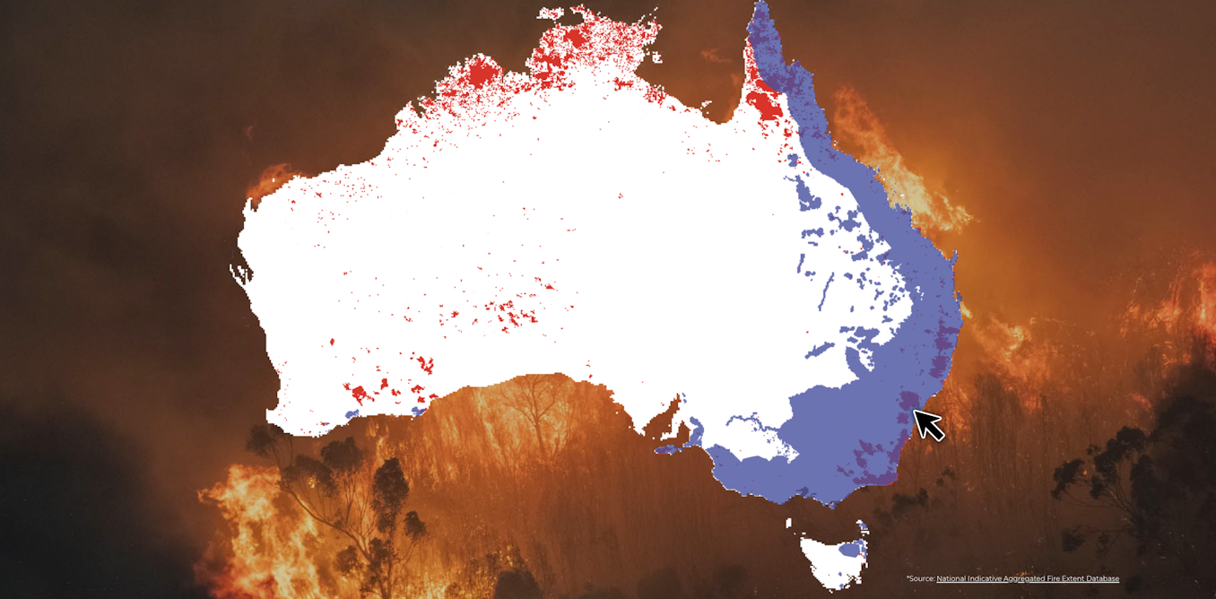 Summer Bushfires How Are The Plant And Animal Survivors 6 Months On We Mapped Their Recovery