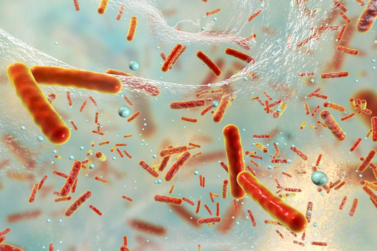 As if space wasn't dangerous enough, bacteria become more deadly in microgravity