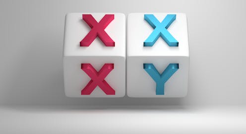 Es bastante curioso que, en una sociedad como la nuestra donde todo el mundo presume de estar muy versado en cuestiones sexuales, sean muy pocos los que tienen claro los dos aspectos más importantes, biológicamente hablando, del sexo: qué es y qué significa. En este artículo vamos a hablar de la primera cuestión. Ya habrá un segundo para valorar la trascendencia evolutiva de lo que significó el invento del sexo.