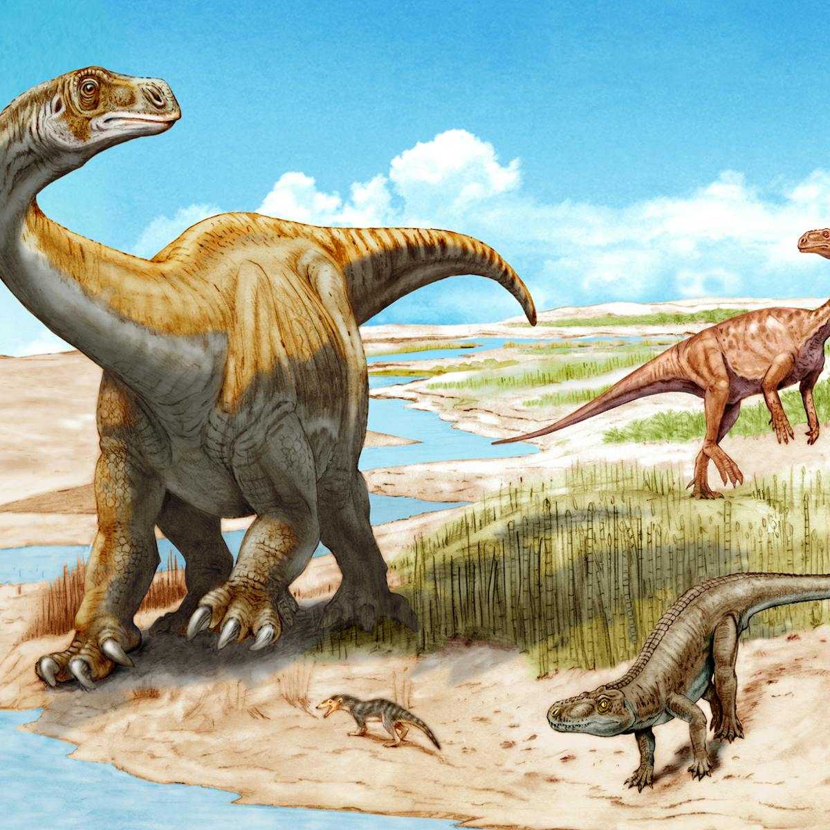 Google Show Me Pictures Of Dinosaurs - art-floppy