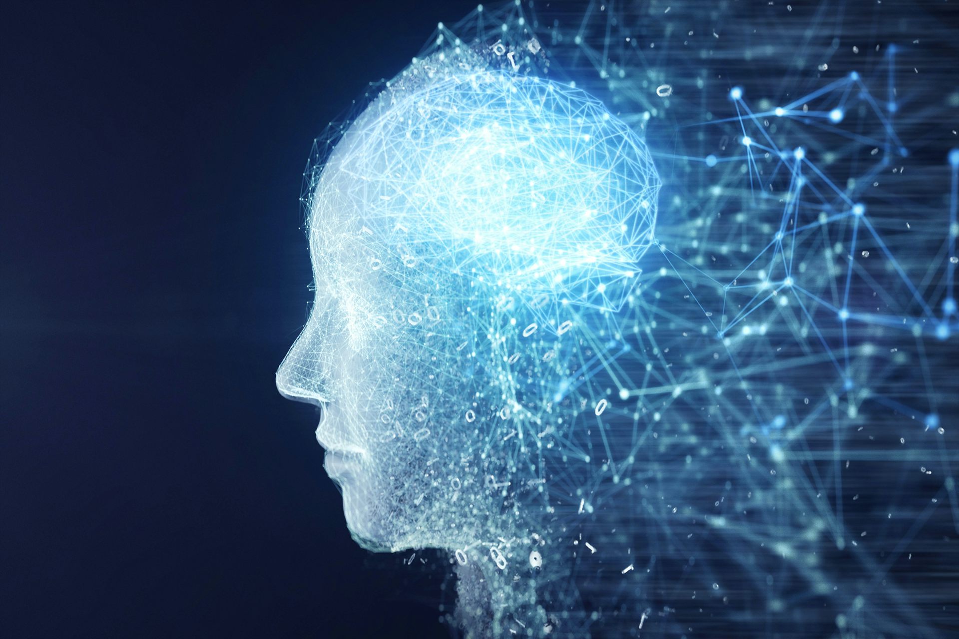 How brains do what they do is more complex than what anatomy on its own ...