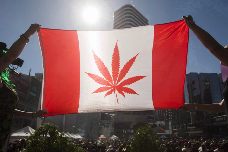 People at a gathering hoist a Canadian flag with a marijuana leaf instead of a maple leaf in the centre.
