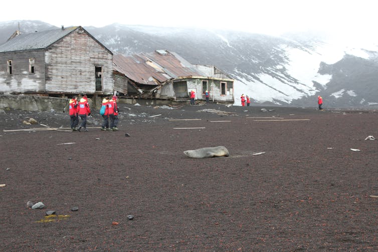 Humans are encroaching on Antarctica’s last wild places, threatening its fragile biodiversity