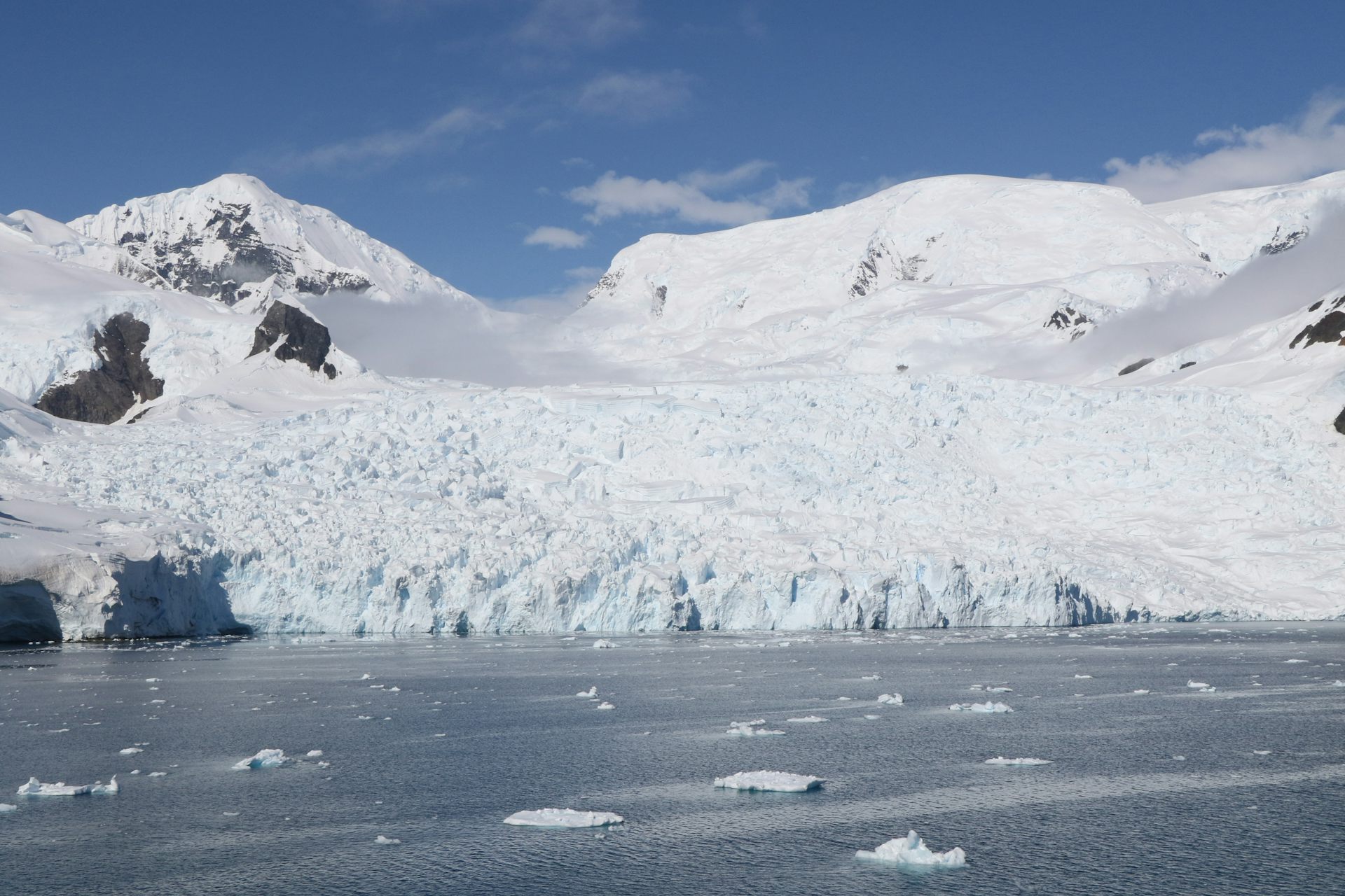 Humans are encroaching on Antarctica&rsquo;s last wild places, threatening its fragile biodiversity