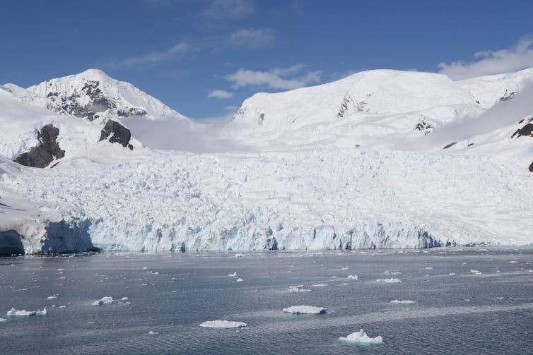 Humans are encroaching on Antarctica’s last wild places, threatening its fragile biodiversity