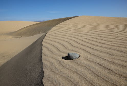 Durante el periodo de confinamiento impuesto para hacer frente a la pandemia de COVID-19, han sido numerosas las noticias publicadas en medios de comunicación de todo el mundo sobre la recuperación que ha experimentado la naturaleza al disminuir la presión humana.