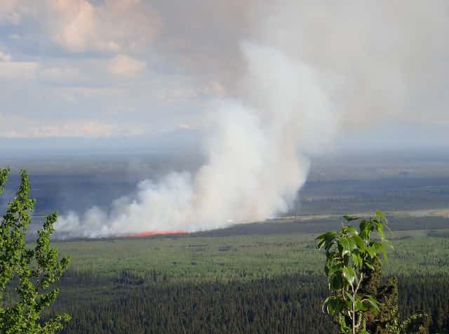 A white plume of smoke rises above a forested area in the boreal region.