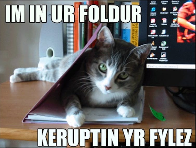 LOLcat meme reading: Im in ur foldur keruptin yr fylez