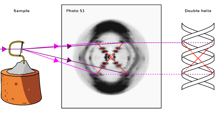 Sketch of X-ray shining through DNA sample with resulting crystallograph and double helix structure