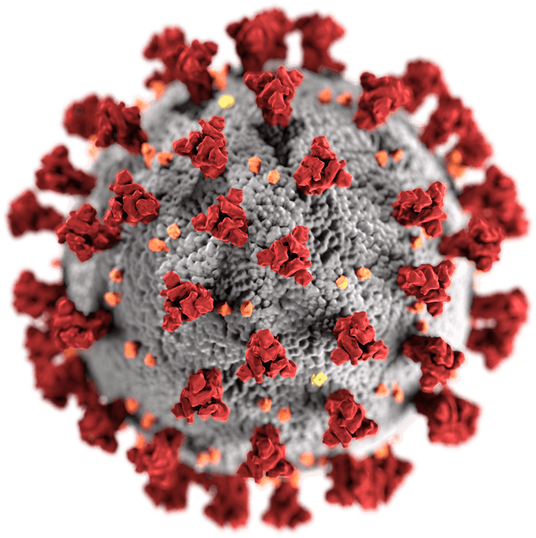 How the leading coronavirus vaccines work