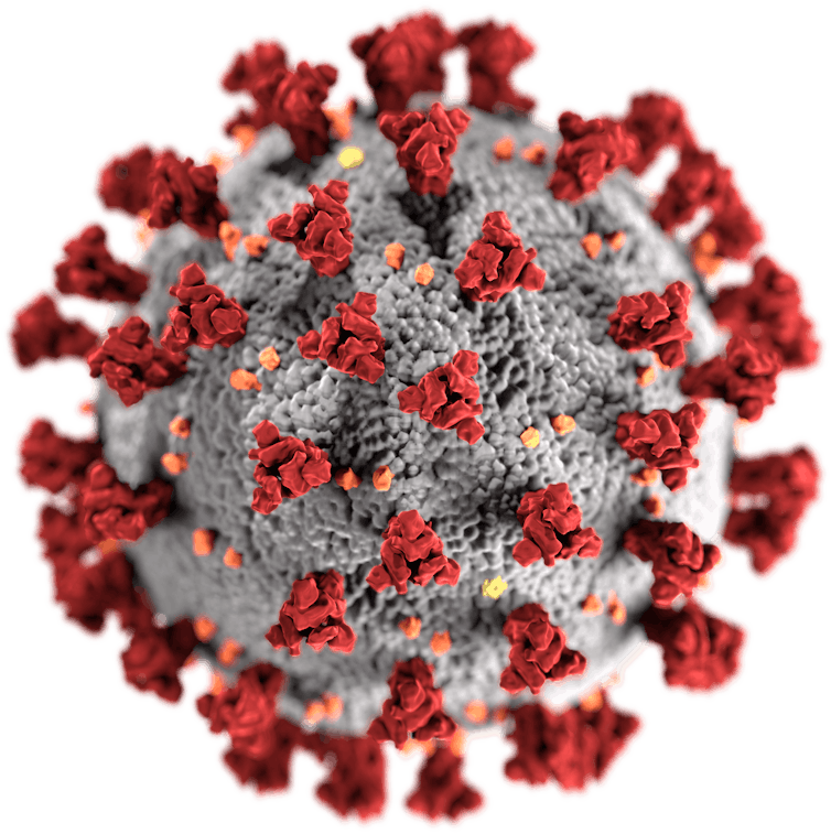 Illustration of the SARS-CoV-2, showing the spike proteins on its surface