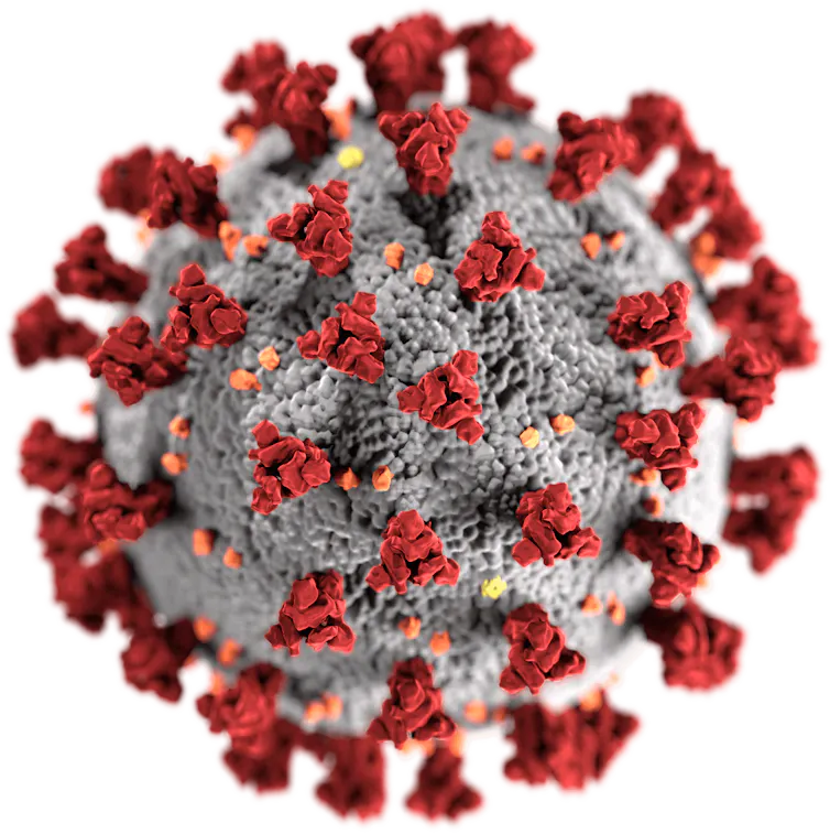 Illustration of the SARS-CoV-2, showing the spike proteins on its surface