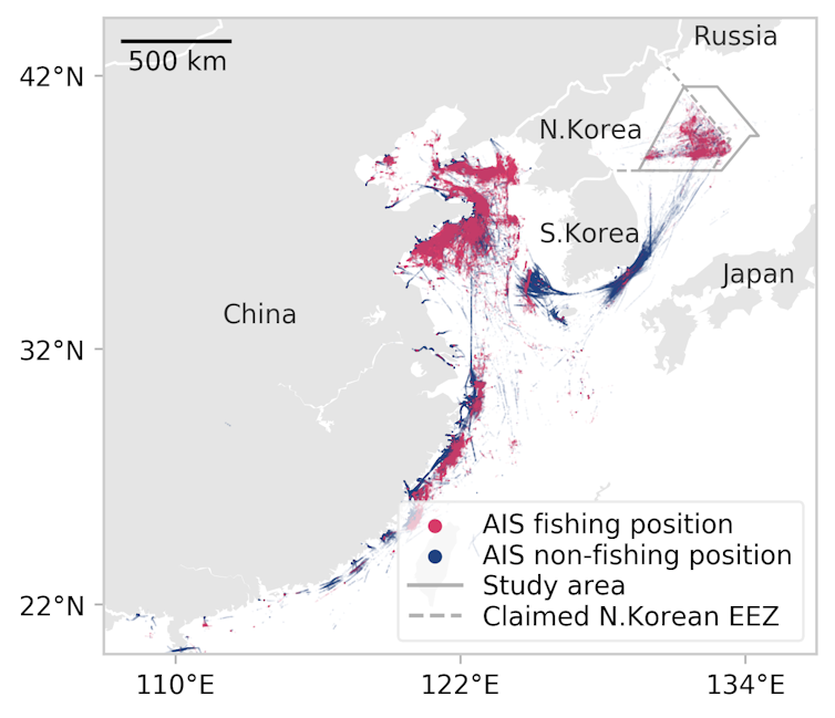 Chinese fishing boats took half a billion dollars of illegal squid from North Korea. Scientists used satellites to catch them out