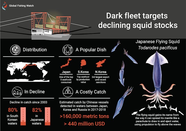 Chinese fishing boats took half a billion dollars of illegal squid from North Korea. Scientists used satellites to catch them out