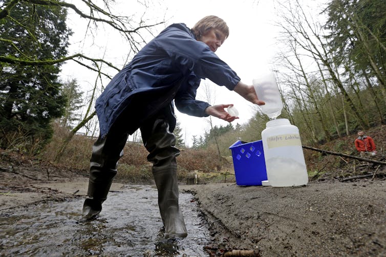an environmental scientist tests water
