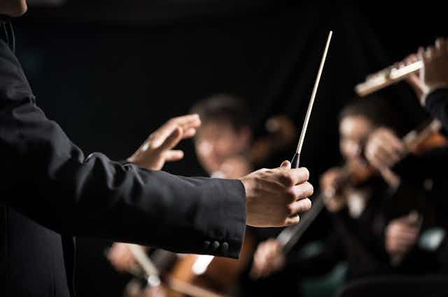 A music conductor guides an orchestra with a baton