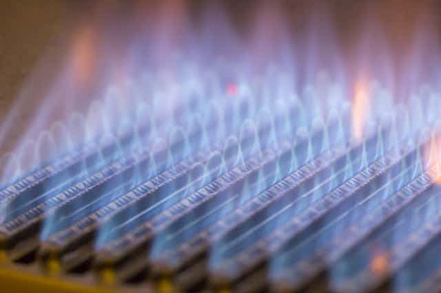 Rows of blue pilot lights on a gas stove.