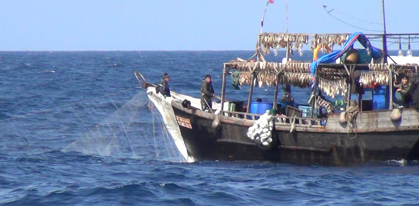 Chinese Fishing Boats Took Half A Billion Dollars Of Illegal Squid From North Korea Scientists Used Satellites To Catch Them Out
