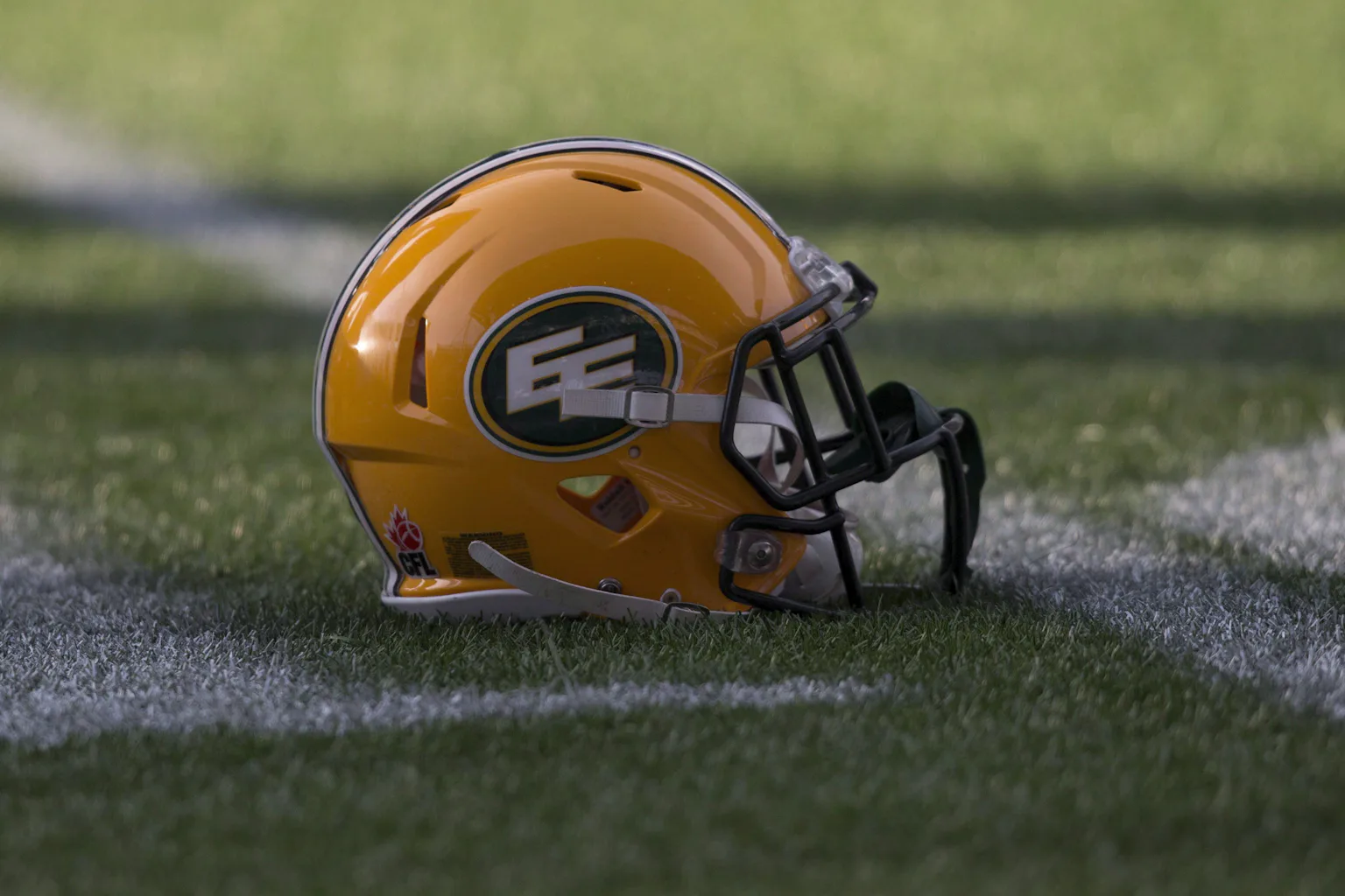 eskimo wearing football helmet Warren Moon Signed Edmonton Eskimos Riddell Mini with Note Eskimos sign free-agent WR Bauman