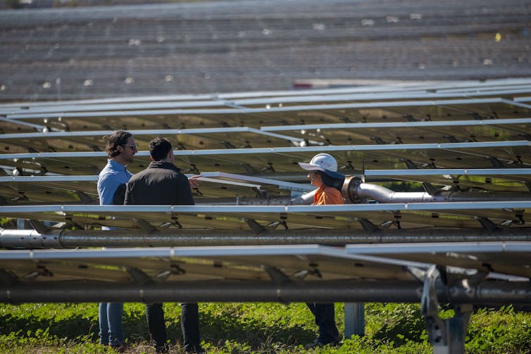 In a world first, Australian university builds own solar farm to offset 100% of its electricity use