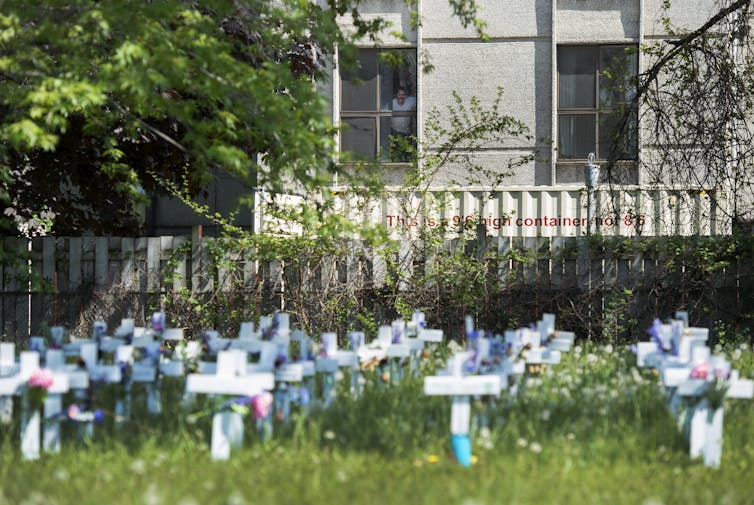 Rows of small white crosses planted in grass