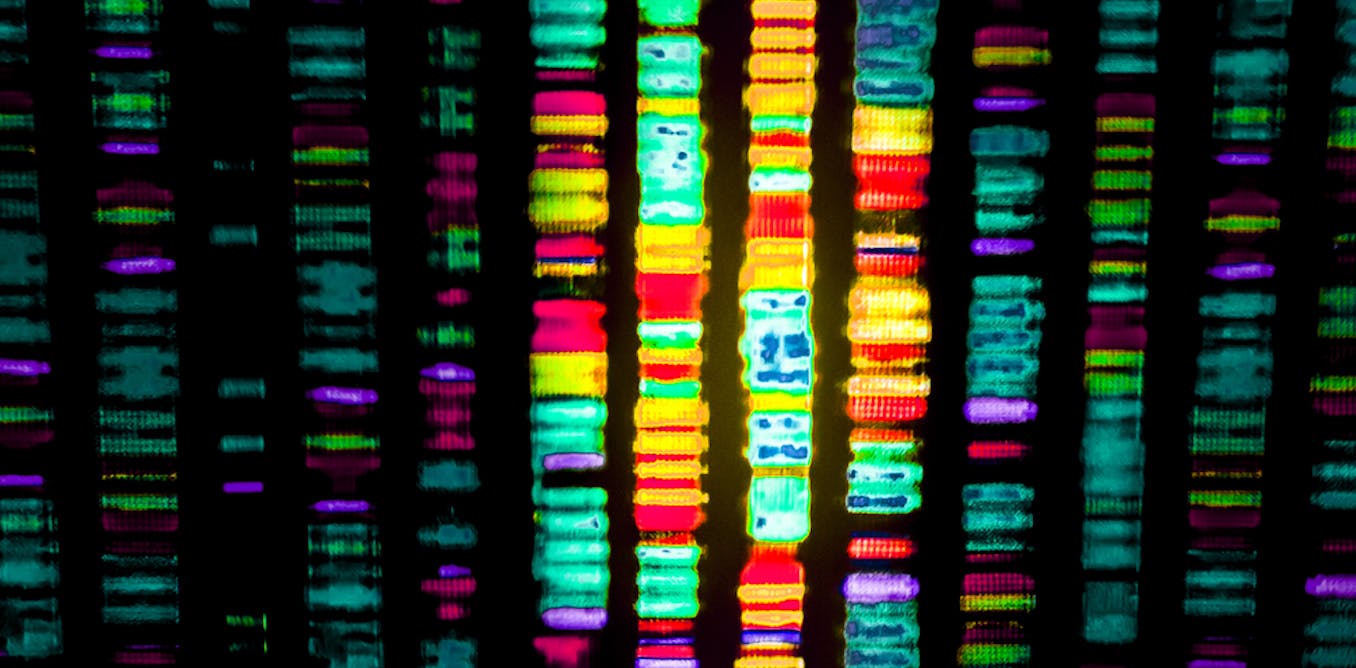 Discovering how genetic ‘dark matter’ plays a role in mental illness is just the tip of the iceberg for human health