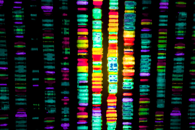 DNA sequence