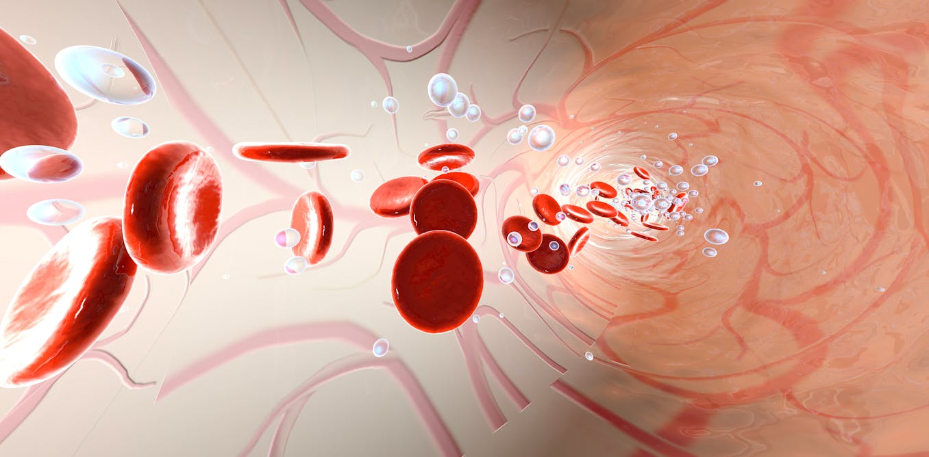 Las Dos Mutaciones En La Hemoglobina Que Hicieron Posible Nuestra Existencia Las Dos Mutaciones En La Hemoglobina Que Hicieron Posible Nuestra Existencia