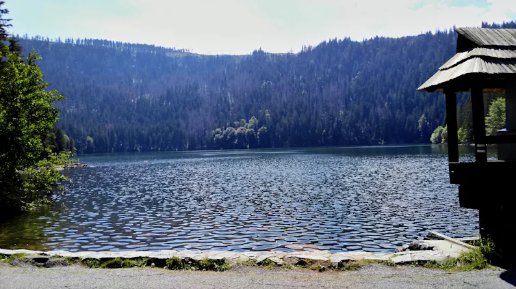 Black Lake in the Czech Republic