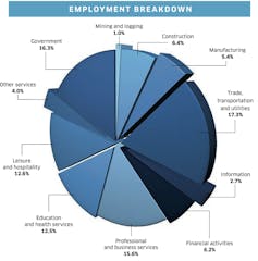 confusing pie chart of employment data