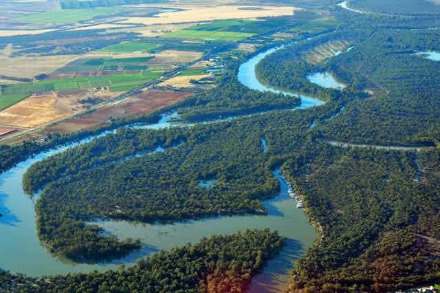 An aerial view of the Murray River snaking through bushland, beside agricultural fields. 