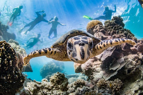 National cabinet just agreed to big changes to environment law. Here's why the process shouldn't be rushed