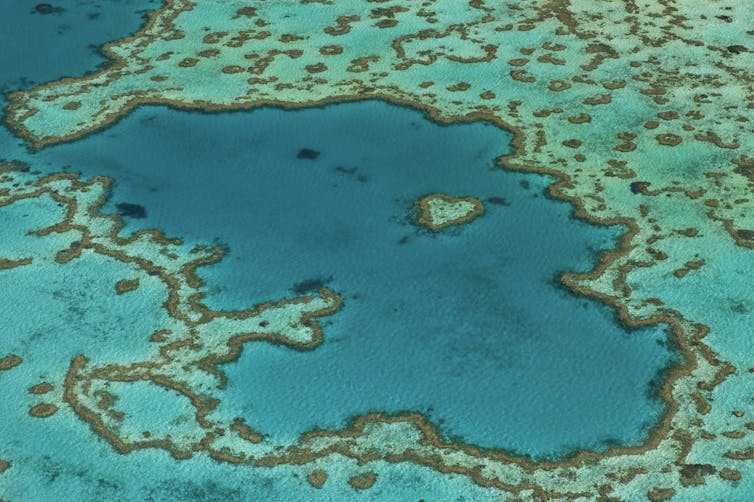 The Great Barrier Reef