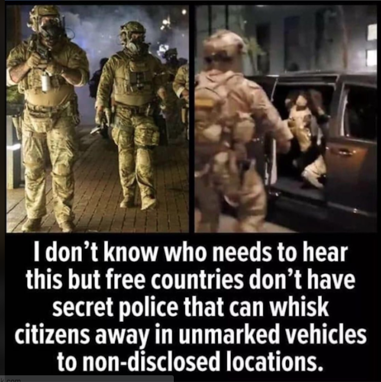 A meme showing federal officials in camouflage arresting a person and putting them into an unmarked van.