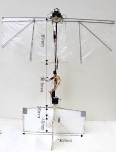 Learning from nature: a new flapping drone can take off, hover and swoop like a bird