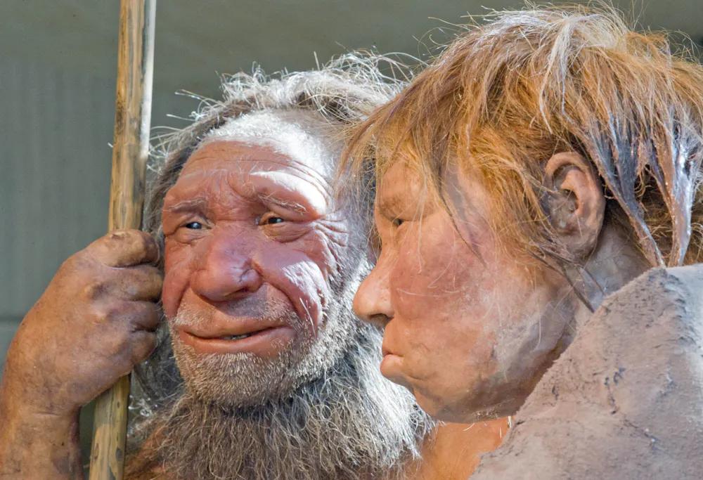 First Humans Made Curious Kids: how did the first person evolve?