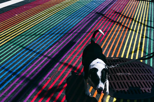 No hay duda de que los perros ven el mundo de forma diferente a como lo hacemos nosotros, pero es una leyenda urbana que su vista solo sea capaz de distinguir el blanco, el negro y leves sombras grisáceas.