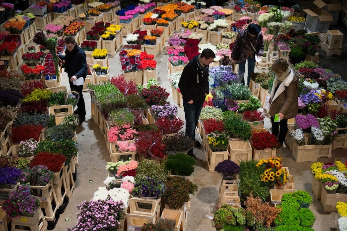 Slow flowers : un nouveau concept pour relancer la production de fleurs  françaises ?